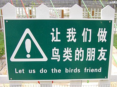 Birds friends